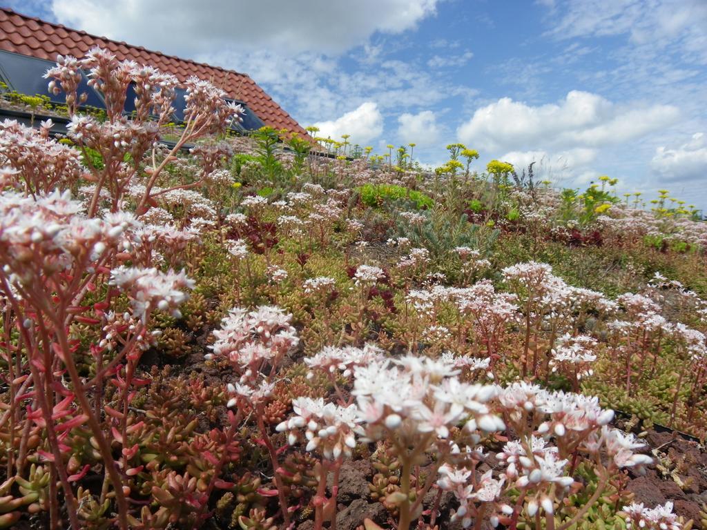 Willa Fleur De Ciel Loos-en-Gohelle Zewnętrze zdjęcie