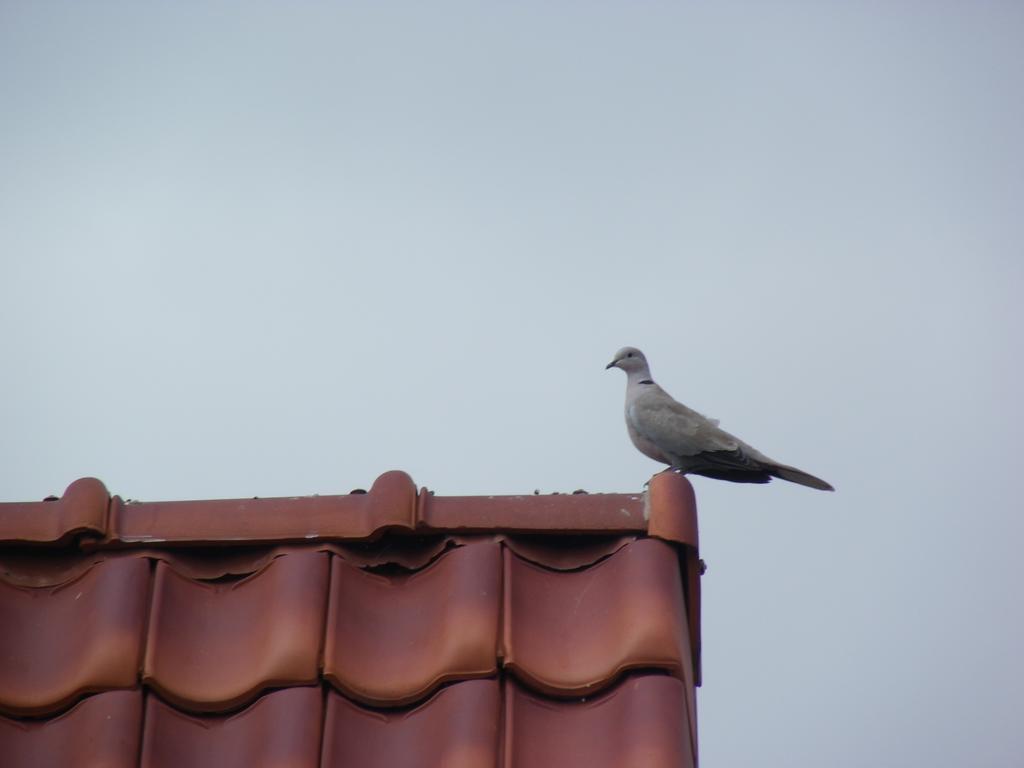 Willa Fleur De Ciel Loos-en-Gohelle Zewnętrze zdjęcie